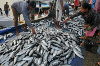 Konsumsi Ikan di Indonesia Baru 93,5% dari Target